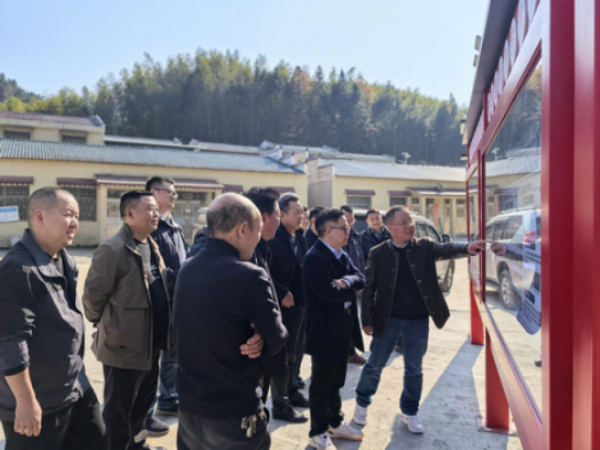 亮燈了，路通了，心安了！地質(zhì)湘軍助大雁山村煥新重生