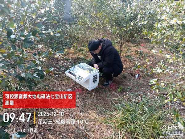 省地質(zhì)院郭友軍、王磊入選2025湖南省“芙蓉計劃”青年人才項目